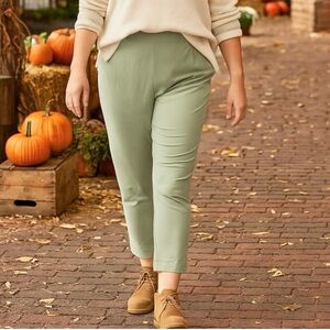 Calvin Klein Performance Pale Sage Green Women’s Ankle Pants